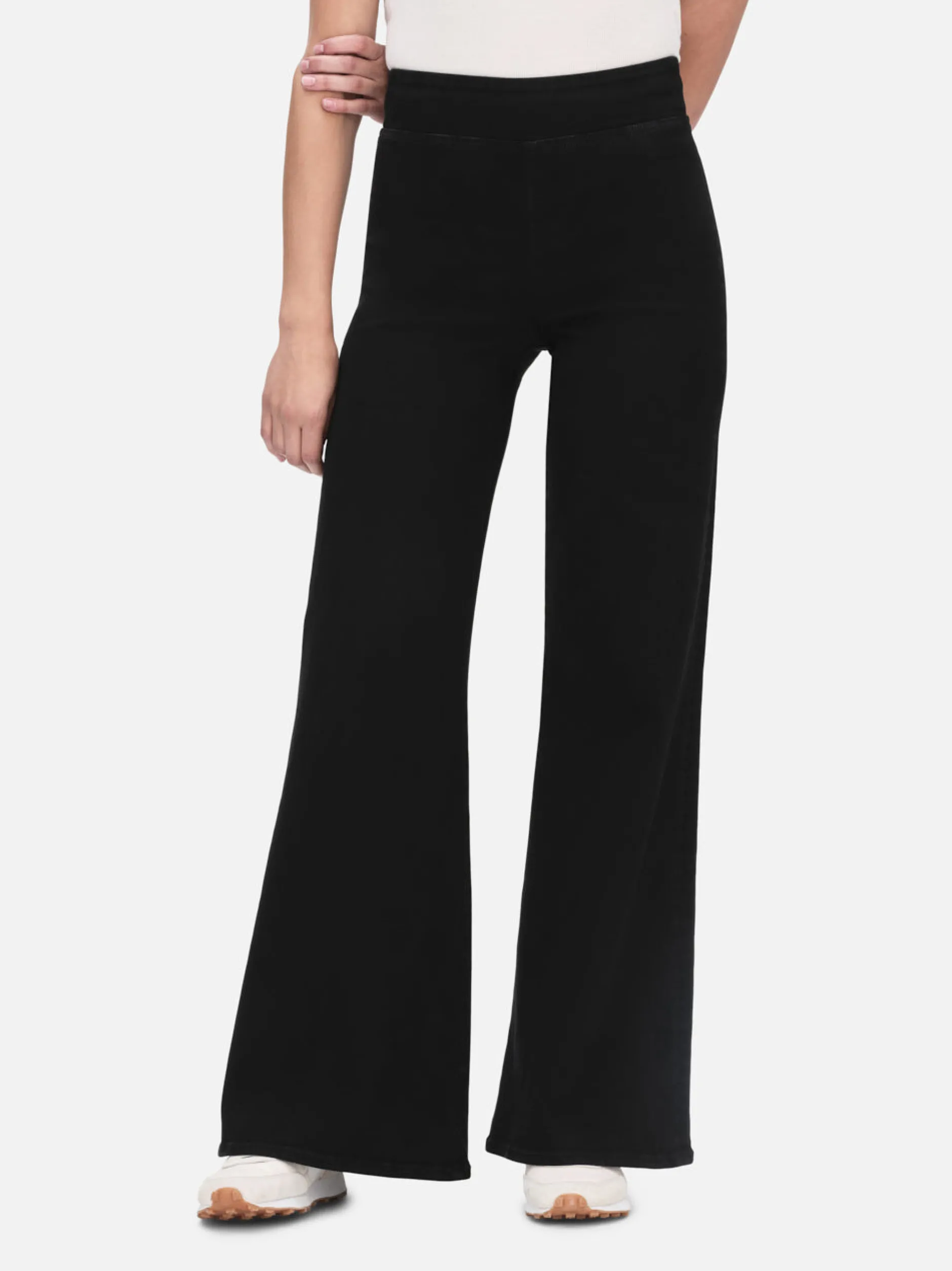 FRAME The Jetset Wide Leg in Sheen Noir<Women Wide Leg